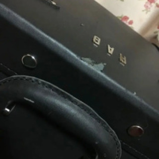 THE GAZETTE キャリーバッグの画像