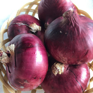 赤玉ねぎ 1kg 100円