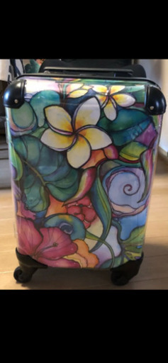 コリーンウィルコックス キャリーバック