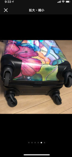 コリーンウィルコックス キャリーバック