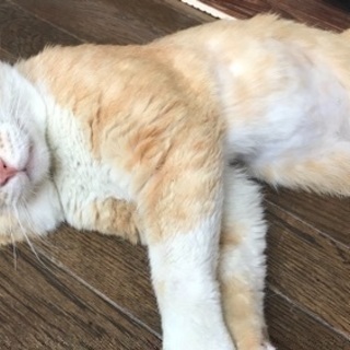 人が大好き！ちゃあ君