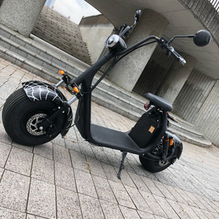 東京、青海でのコンテナ搬出作業