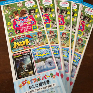 蒜山高原センター ジョイフルパーク 招待券  ①の画像