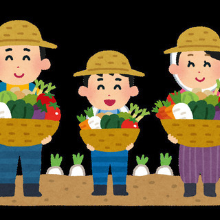 ★ 急募！業務拡大での増員！★ 過ごしやすい時間帯での収穫や出荷作業などの農作業(軽作業)アルバイト＆パート募集中！ヤル気のある方、お電話お待ちしています♪の画像