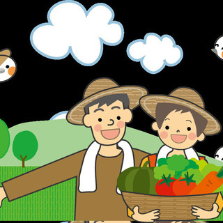 ★ 急募！業務拡大での増員！★ 過ごしやすい時間帯での収穫や出荷作業などの農作業(軽作業)アルバイト＆パート募集中！ヤル気のある方、お電話お待ちしています♪の画像
