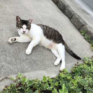  お家見つかりました✨