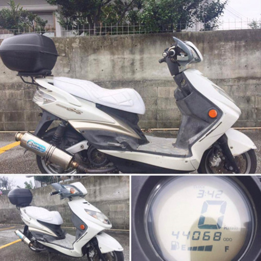 🍀シグナスX実働！現状6万円❗️🍀