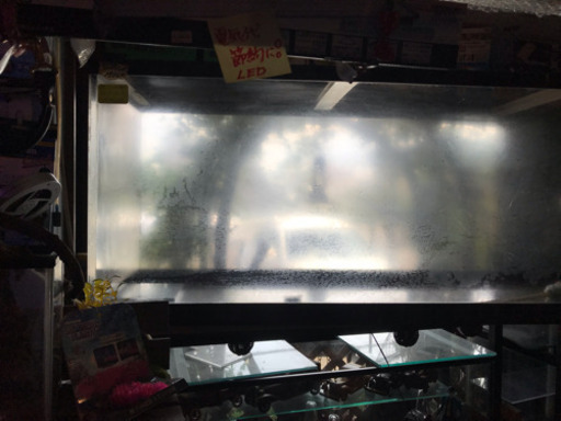 水槽、大型水槽、アクリル水槽、アロワナ、熱帯魚、鯉