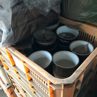 引取限定！大量 食器 おぼん ビールジョッキなどなどの画像