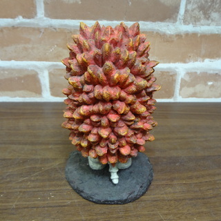 【モノ市場 東海店】おとなりの怪獣　ピグモンの画像