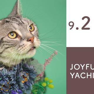 ジョイフル本田-八千代店 9月21日/22日（土・日）ペット撮影会