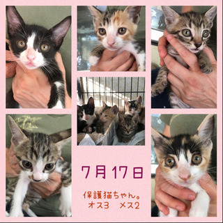 近所の工場で生まれてしまいました。
