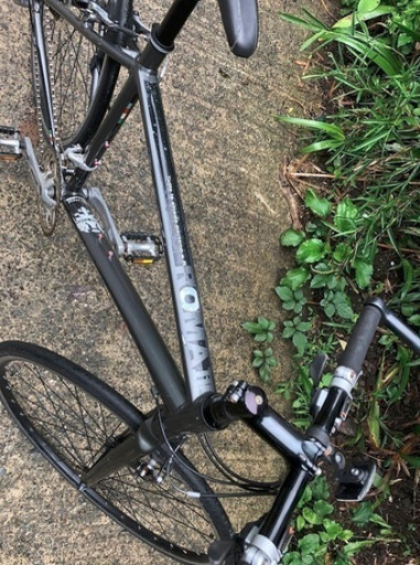 Bianchi ROMAⅡ売ります。
