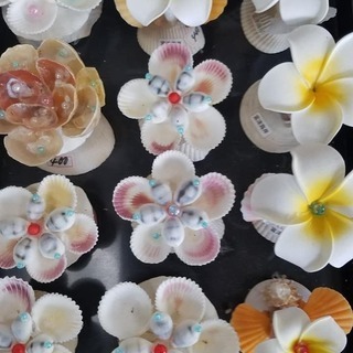 ちょっとしたインテリアにかわいい貝細工を飾って癒しの空間に。富津の貝細工・おみやげ 「勝」の画像