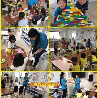 ☆子ども英語サマースクール☆の画像