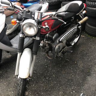 SUZUKI  コレダ スクラングラー キック始動 福岡市南区 