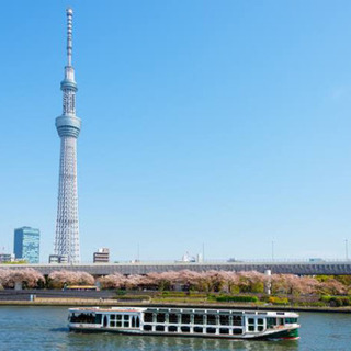 【平日限定】東京観光サークル