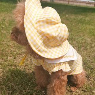 犬洋服は、水兵さん、スモック、幼稚園、XSサイズ、帽子付き^_^