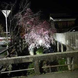 中国語を教えます、日本語を教えてもらいます！の画像