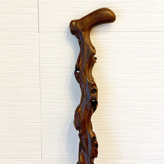 【杖】仙人風の画像