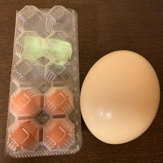 だちょうの卵の殻 一個の画像