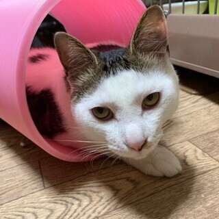 もっともっと愛して欲しい！ソルト君