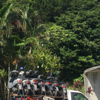 ☆不要車やバイクの買取、処分承ります☆
