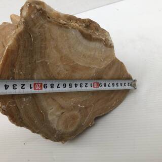 レア物　大型　鍾乳石　高さ４０㎝　21キロ　天然の芸術　天然石　の画像