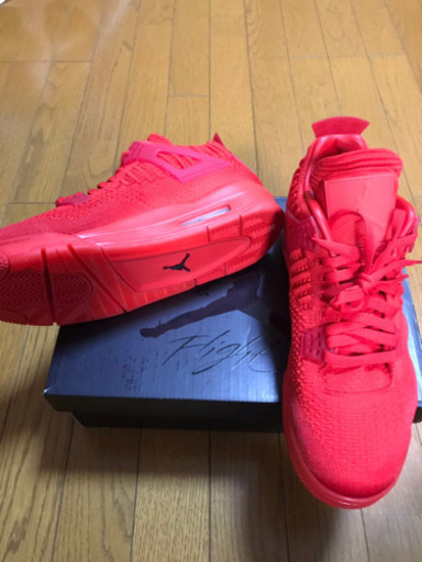 【日本未発売】エアジョーダン4  フライニット