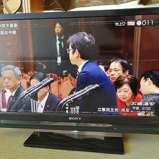 ソニー製 テレビ ブラビア 映像にノイズあり