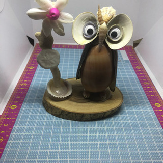 貝フクロウの画像