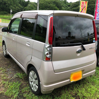 値下げステラの画像