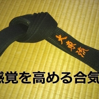 有酸素運動と筋持久トレーニングを兼ねた「合気」を一緒に練習しませんか？