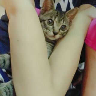 ニコちゃん２ヶ月