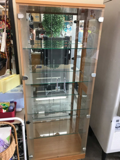 ショーケース 収納 コレクション 多種クレジット対応