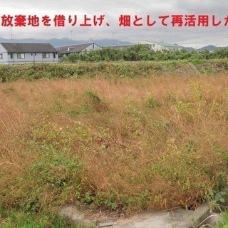 農業法人新規設立に伴い農業従事者の方募集 - かほく市