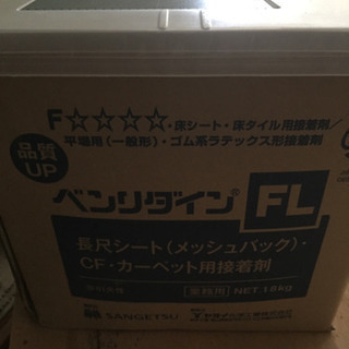 ベンリダインFL1、8K
