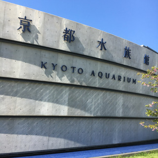 急募 京都水族館&鉄道博物館の入場券の画像