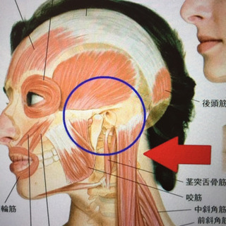 ドライヘッドスパ講座 7月満員の画像