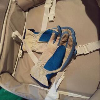 SAS レギバッグの画像