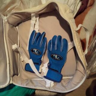 SAS レギバッグの画像