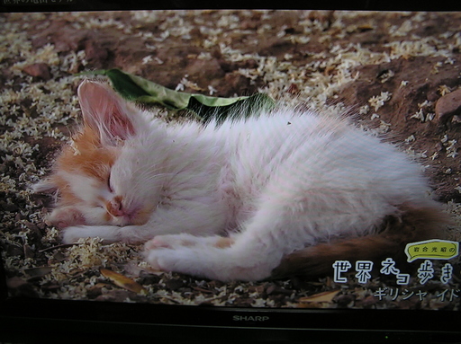 ◇37型シャープテレビ ☆フルハイビィジョンできれい。♪お取引後1週間の動作補償します。♪ アクオス世界の亀山モデル