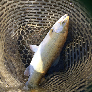 釣り好きさんと仲良くなりたい(・ω・)