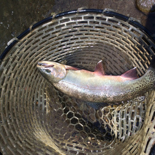 釣り好きさんと仲良くなりたい(・ω・) − 群馬県