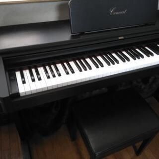 コルグ電子ピアノ（コンサート）