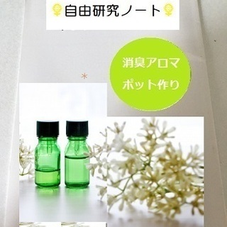 【夏休み自由研究】消臭アロマポット作り♪