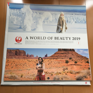 JAL A WORLD OF BEAUTY 2019 カレンダー【新品】の画像