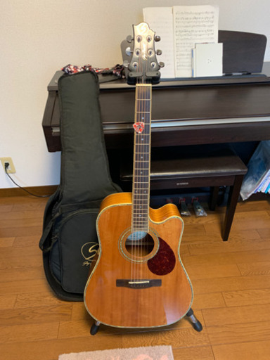 美品全調整済★ Greg Bennett D-12CE エレアコ