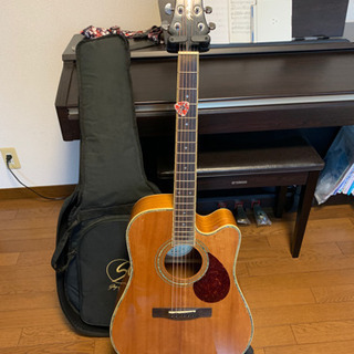 美品全調整済☆ Greg Bennett D-12CE エレアコ