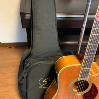 美品全調整済☆ Greg Bennett D-12CE エレアコ